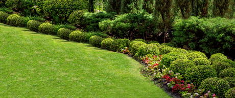 Well Established and Extremely Successful Landscaping Company